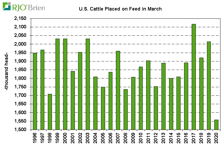USDA Monthly Cattle on Feed Report CCSTrade