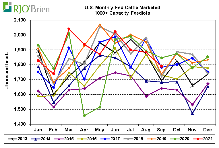 USDA Monthly Cattle on Feed Report CCSTrade